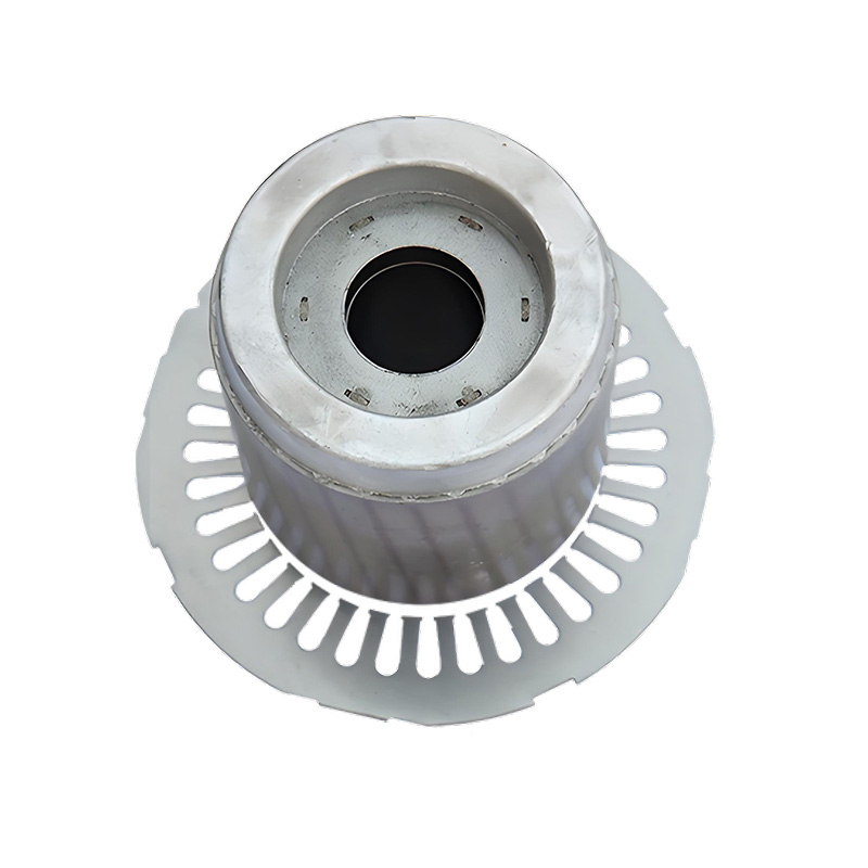 induction motor core