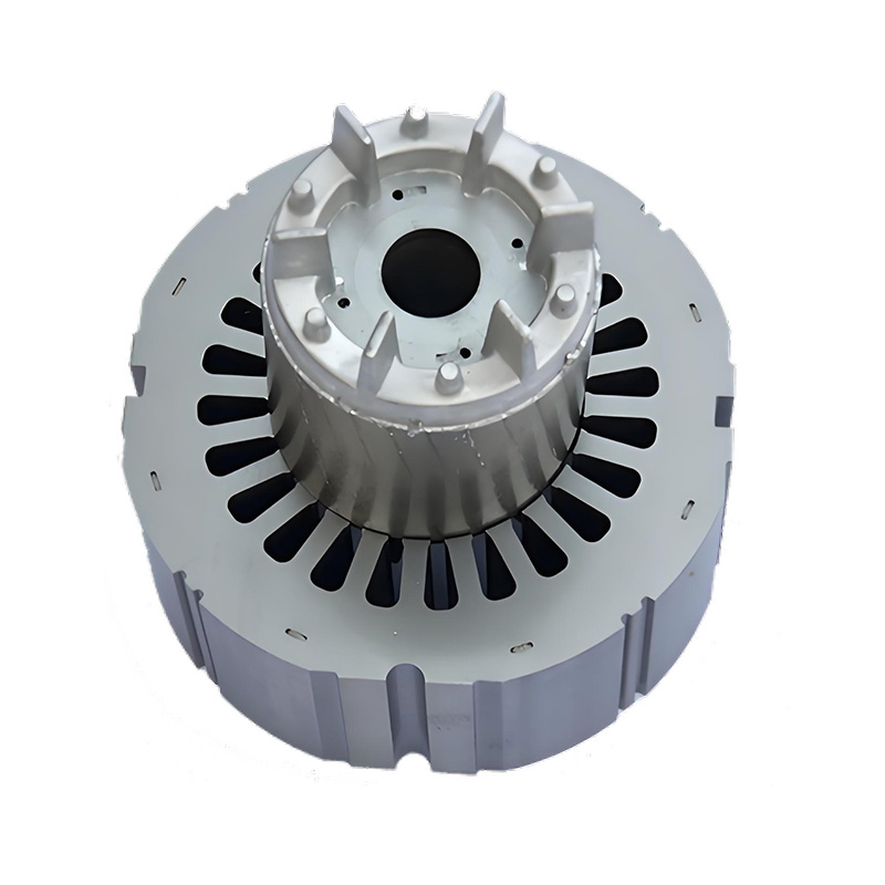 rotor core of induction motor