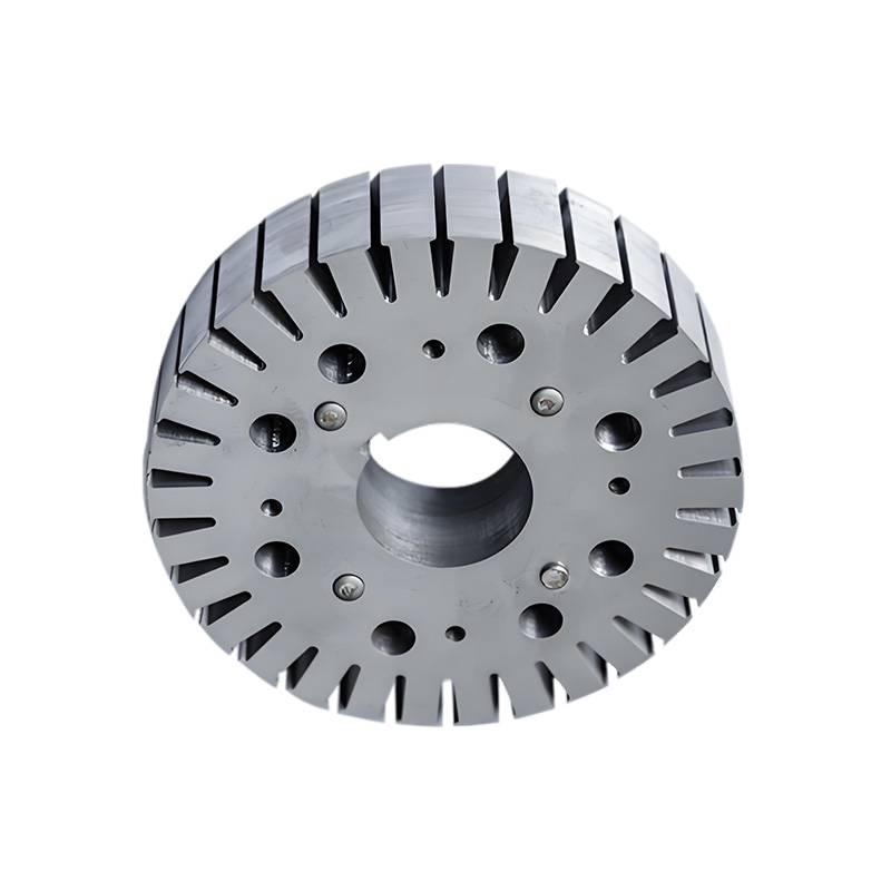 permanent magnet motor rotor